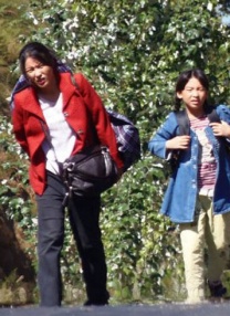 蓝光原盘在线观看